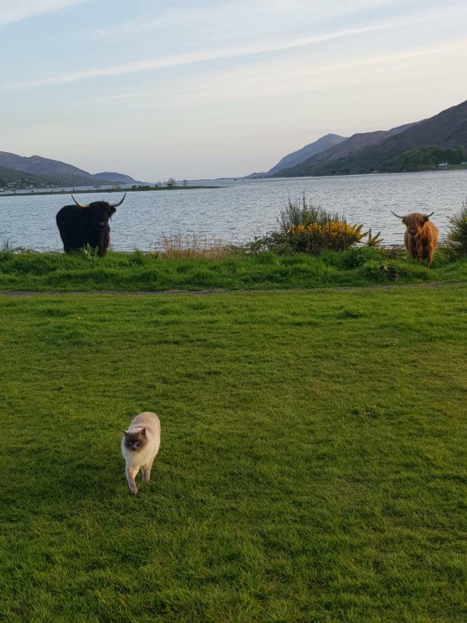 Fort William Loft On Shore Front With Amazing Views Caol Exteriör bild